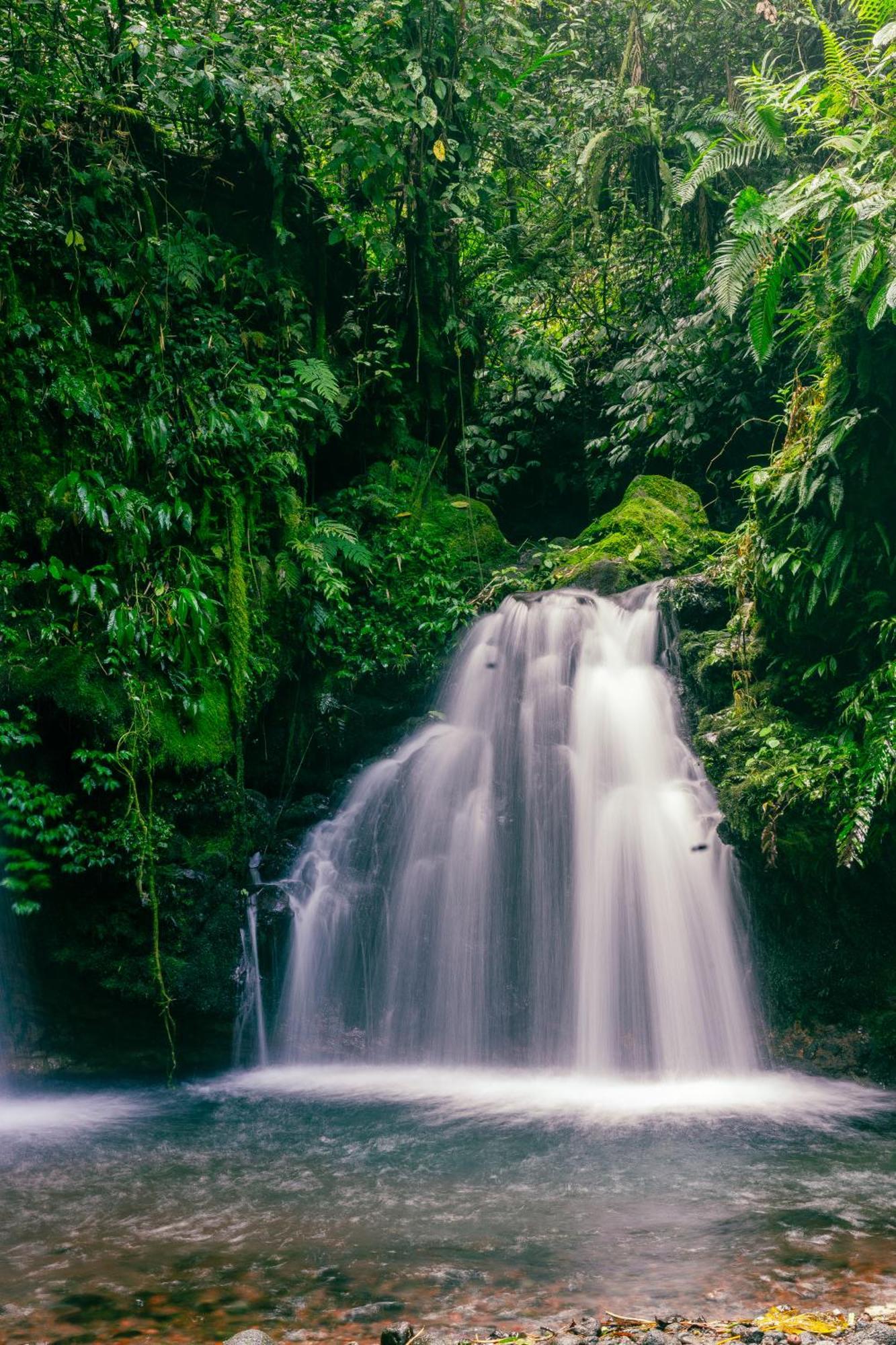Santya Loka Lodge & Twin Waterfall Джатілувіг Екстер'єр фото