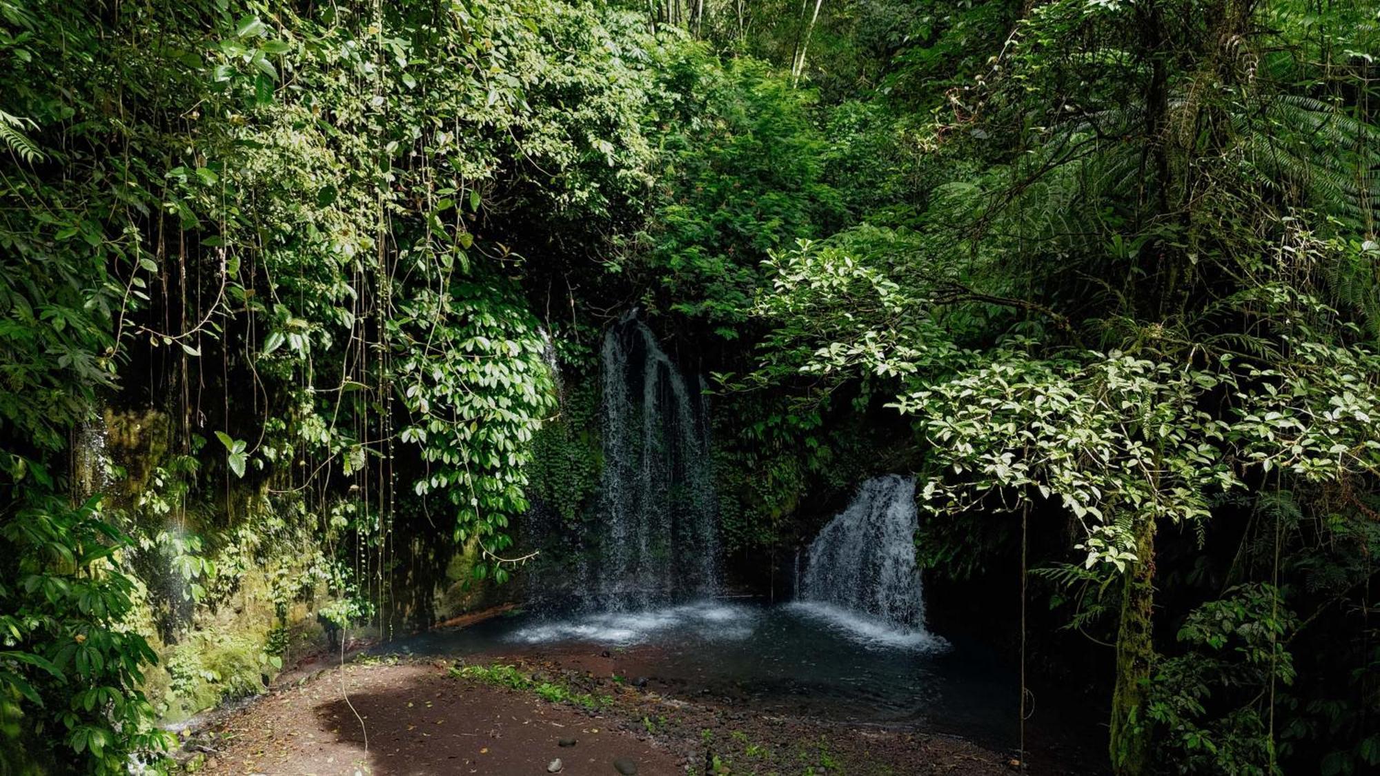 Santya Loka Lodge & Twin Waterfall Джатілувіг Екстер'єр фото