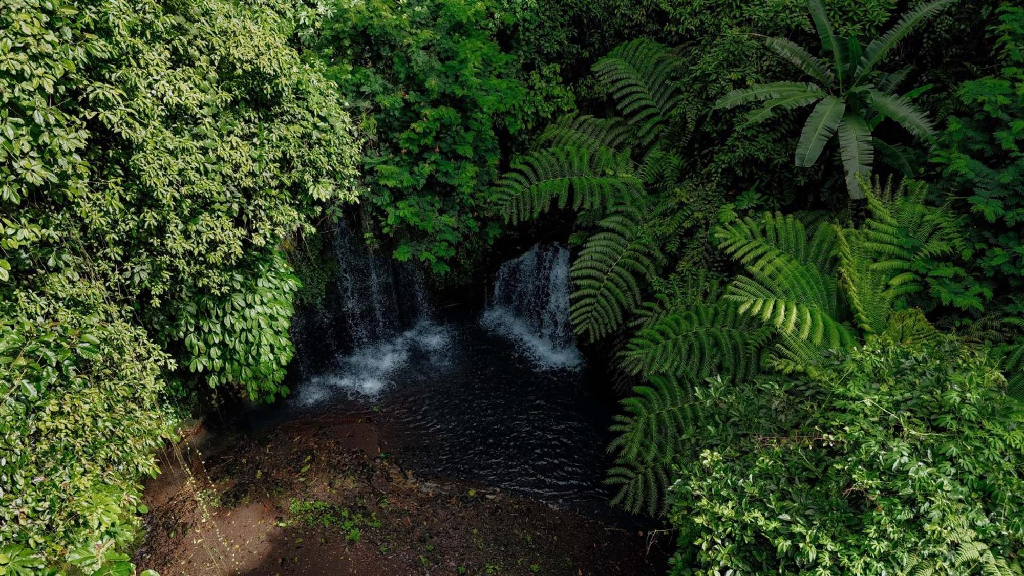 Santya Loka Lodge & Twin Waterfall Джатілувіг Екстер'єр фото